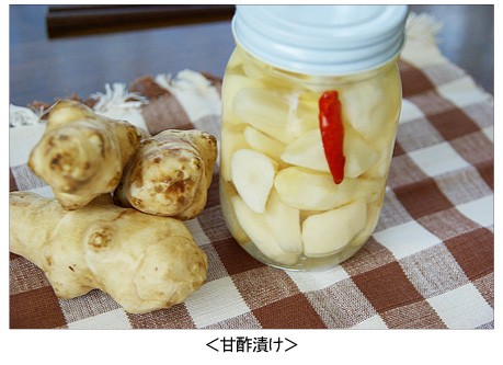 菊芋レシピ